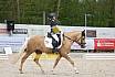 Sonntag Dressurreiter A 