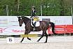 Sonntag Dressurreiter A 