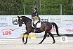 Sonntag Dressurreiter A 