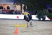 Freitag CSI 2* Abend 