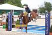 Mi Springpferde 6j