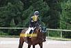 A Dressur ein Stern 
