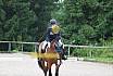 A Dressur ein Stern 