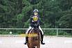 A Dressur ein Stern 