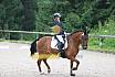 A Dressur ein Stern 