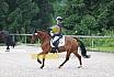 A Dressur ein Stern 