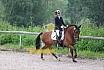 A Dressur ein Stern 
