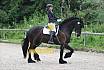A Dressur ein Stern 