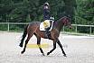 A Dressur ein Stern 