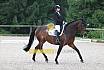 A Dressur ein Stern 