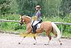 A Dressur ein Stern 