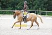 A Dressur ein Stern 
