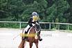 A Dressur ein Stern 