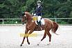 A Dressur ein Stern 