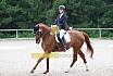 A Dressur ein Stern 