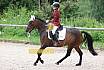 A Dressur ein Stern 