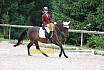 A Dressur ein Stern 