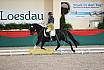 Sa L Dressur Kandare