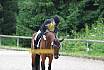 A Dressur ein Stern 