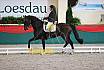 Sa L Dressur Kandare