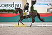 Sa L Dressur Kandare