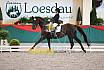 Sa L Dressur Kandare