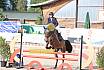 Di Springpferde A