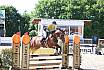 Di Springpferde A