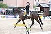 Freitag Finale Nachwuchspferde