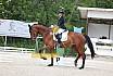 Freitag Reitpferdeprüfung