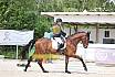 Freitag Reitpferdeprüfung