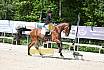 Freitag Reitpferdeprüfung