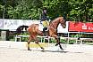 Freitag Reitpferdeprüfung