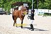 Freitag Reitpferdeprüfung