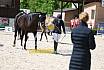 Freitag Reitpferdeprüfung