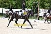 Freitag Reitpferdeprüfung