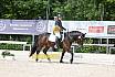 Freitag Reitpferdeprüfung