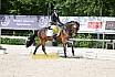 Freitag Reitpferdeprüfung