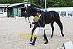 Freitag Reitpferdeprüfung