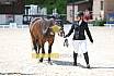 Freitag Reitpferdeprüfung