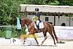 Freitag Reitpferdeprüfung
