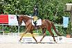 Freitag Reitpferdeprüfung