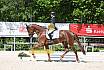 Freitag Reitpferdeprüfung