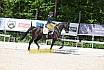 Freitag Reitpferdeprüfung