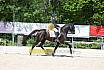 Freitag Reitpferdeprüfung