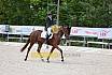Freitag Reitpferdeprüfung