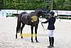 Freitag Reitpferdeprüfung