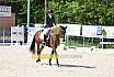 Freitag Reitpferdeprüfung