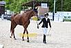 Freitag Reitpferdeprüfung