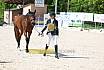 Freitag Reitpferdeprüfung